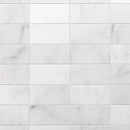 Calacatta T Honed Marble Tiles 6x12