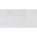 Calacatta T Polished Marble Tiles 12x24