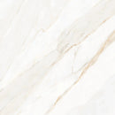 Calacatta Udi Raphael Porcelain