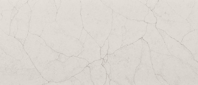 Calacatta Valentin Msi Q