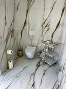 Calacatta Vena Oro Raphael Porcelain