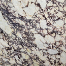 Calacatta Viola Marble
