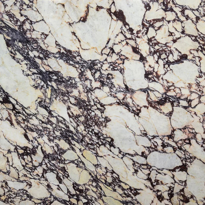 Calacatta Viola Marble