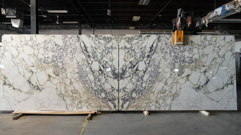 Calacatta Viola Marble