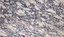 Calacatta Viola White Bookmatching Marble Slabs Polished - Full Truckload