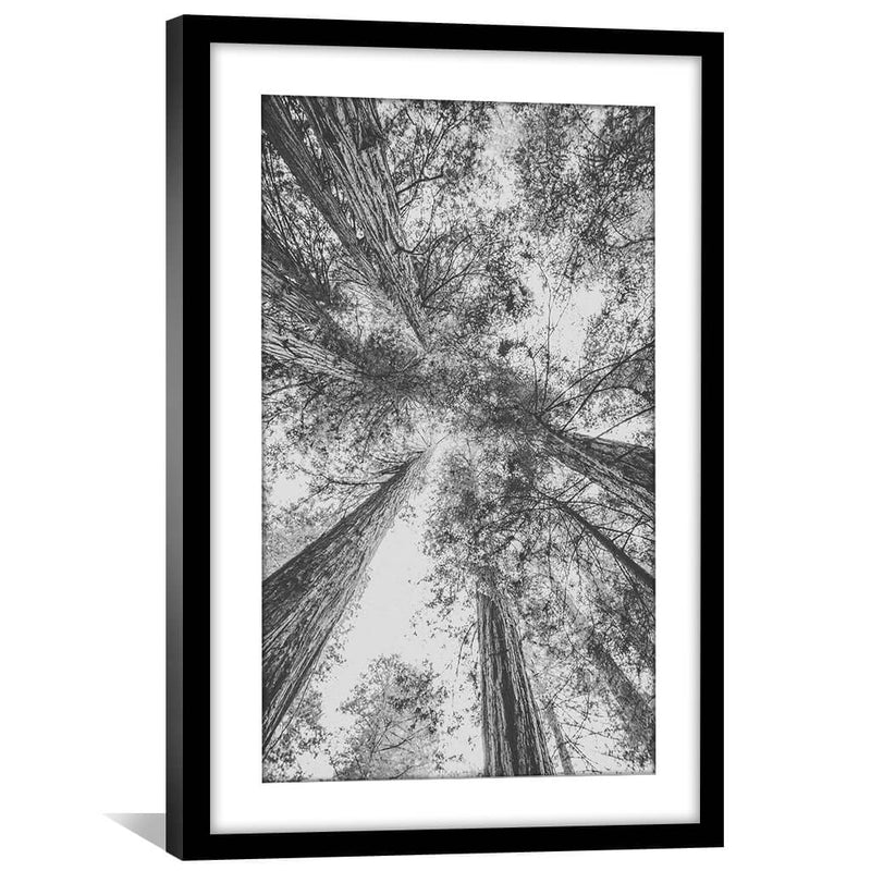 California Red Wood Print