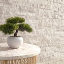 MSI Canyon Oak XL Stacked Stone
