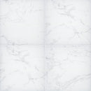 MSI Praia™Carrara