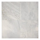 Black, Carrara T Honed Checkerboard Pattern Marble Tiles 12x12