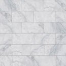 Carrara T Honed Marble Tiles 2 3/4x5 1/2