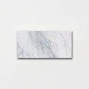 Carrara T Honed Marble Tiles 2 3/4x5 1/2