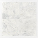 Carrara T Honed Marble Tiles 18x18