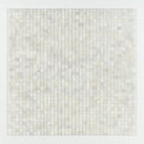 Carrara T Polished 1x1 Marble Mosaics 12x12