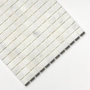 Carrara T Polished 1x1 Marble Mosaics 12x12