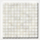 Carrara T Polished 1x1 Marble Mosaics 12x12