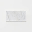 Calacatta T Polished Marble Tiles 2 3/4x5 1/2