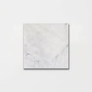 Carrara T Polished Marble Tiles 5 1/2x5 1/2