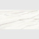 Carrara Venato Matte Porcelain Tiles 24x48