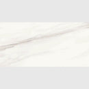 Carrara Venato Semi Polished Marble Look Porcelain Tiles 12x24
