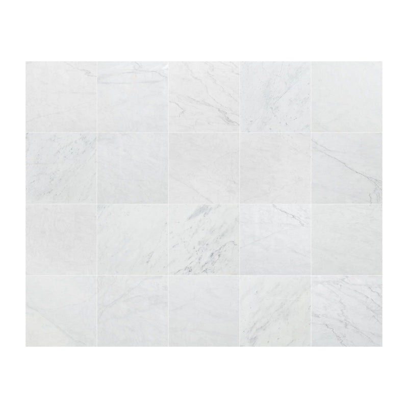 Carrara White Marble Polished Floor and Wall Tile