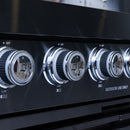 Castelle Flame Ember Premium Black Stainless Steel 4-Burner Liquid Propane Kitchen Grill Island With Rotisserie Kit (SAK48157)