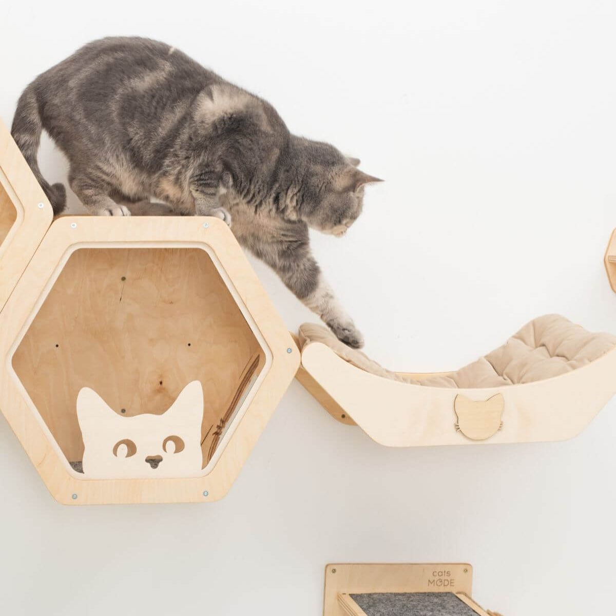 Cat Bed on Wall Light, photo 3 of 4