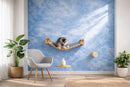 Cat Bridge for Wall