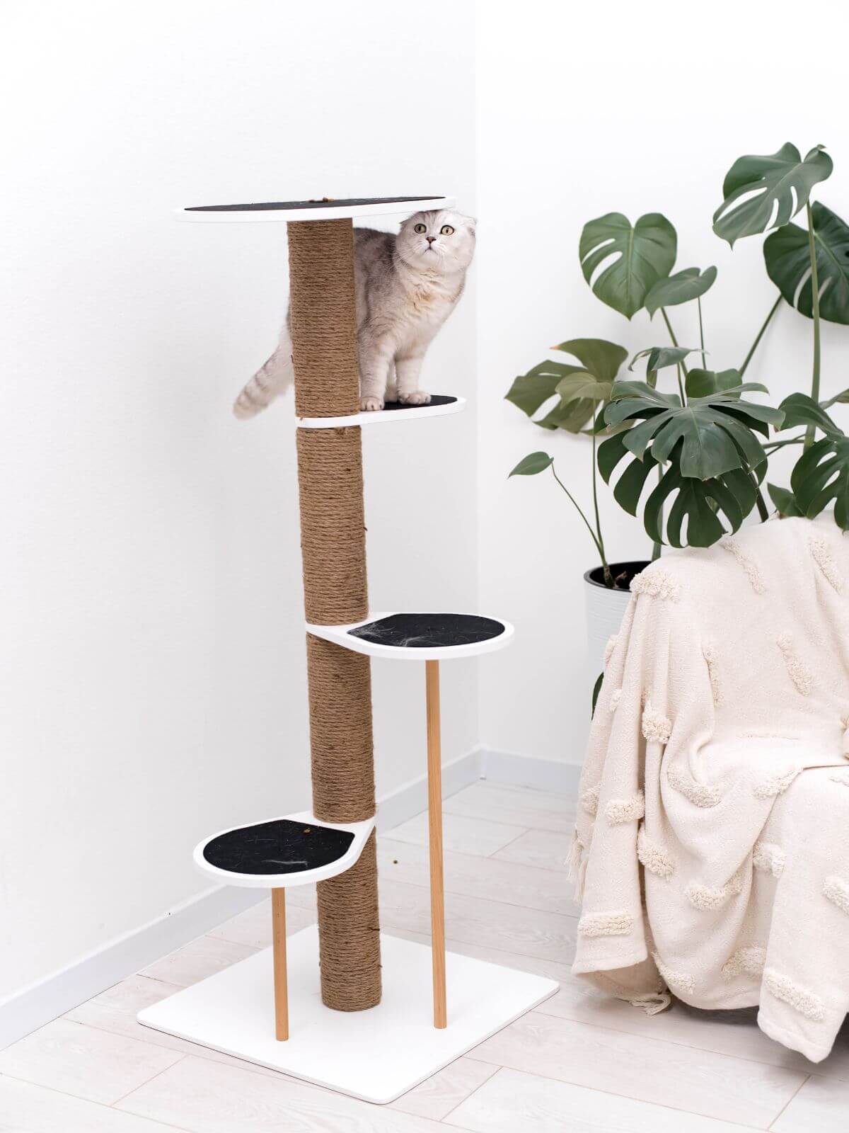 Cat Climbing Tower, photo 4 of 8
