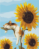Cat Sleeping on Sunflower