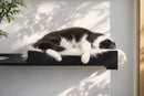 The Cat Nest Bed