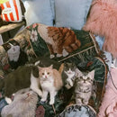 GobekUsa Cat Sunflower Knitted Sofa Cover - Multi-functional Blanket, Bed Cover, Floor Mat, and Tapestry for Home Decor.