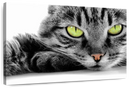Green Eyed Cat Wall Art