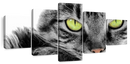 Green Eyed Cat Wall Art