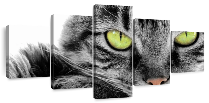 Green Eyed Cat Wall Art