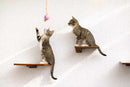 Cat Perch - Wall Mounted and Wooden