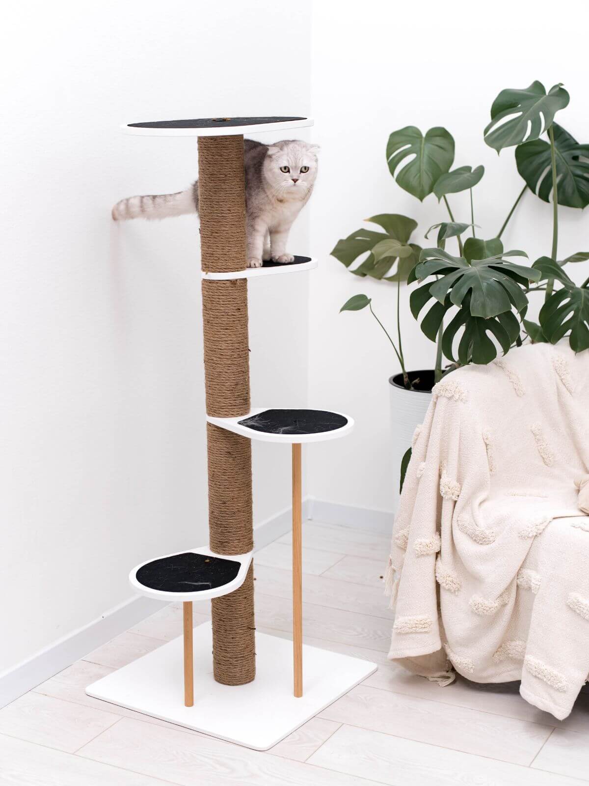 Cat Climbing Tower, photo 6 of 8