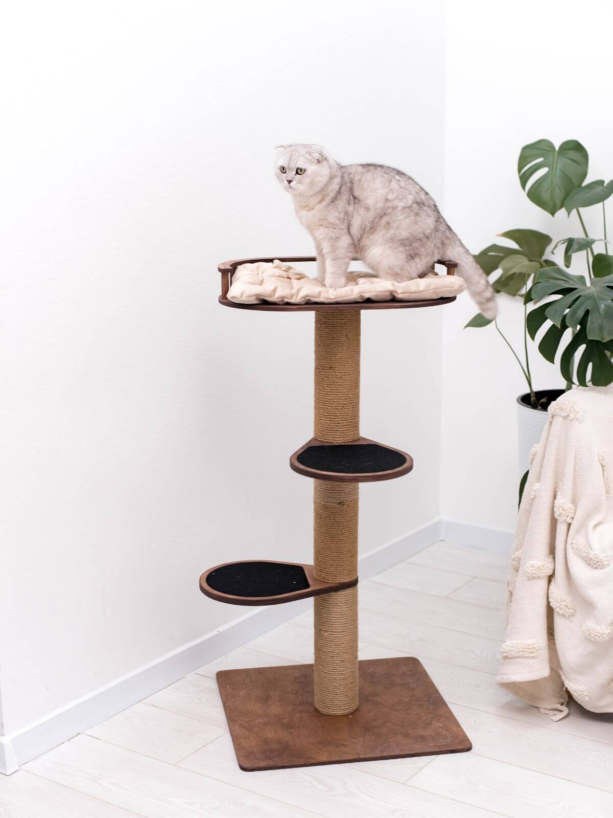 Small Cat Tree, photo 6 of 7