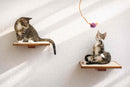 Cat Perch - Wall Mounted and Wooden
