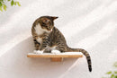 Cat Perch - Wall Mounted and Wooden