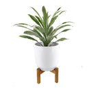 9.8 inch White Ceramic Pot with Wooden Stand