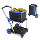 2-Tier Folding Cart