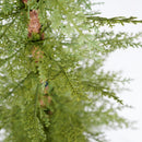 4Ft Pre Lit Artificial Christmas 2 Piece Set - Green by HouseOfZazla