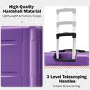 2 Piece Luggage Set With Bags Expanable Spinner Wheels ABS Lightweight Suitcase With Tsa Lock 20" / 24" by HouseOfZazla