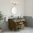 James Martin Chicago 48" Single Bathroom Vanity, Walnut Whisper