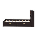 Platform Bed With Bookcase Headboard, Built-In Downlight, Charging Station, And 2 Side Drawers by HouseOfZazla