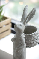 8.5x5.5x19.5" Tall Cement Rabbit Planter by HouseOfZazla