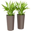 Tall Stackable Planters Set of 2