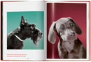 Walter Chandoha. Dogs. Photographs 1941–1991 (English)