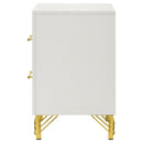 Chesney - 2 Drawer Nightstand With Trim, Bedroom Side Table - White