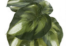 13" Tall Artificial Monstera and Calathea Plants, Set of 2 by HouseOfZazla
